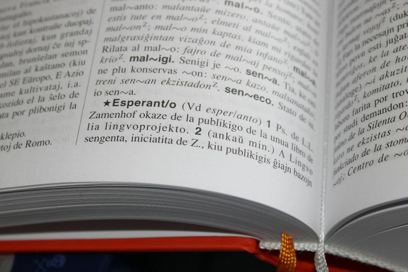 Red colored dictionary