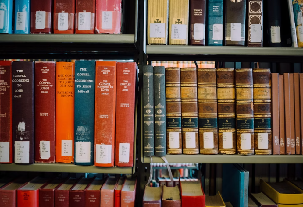 This image shows assorted books lying in bookshelf.