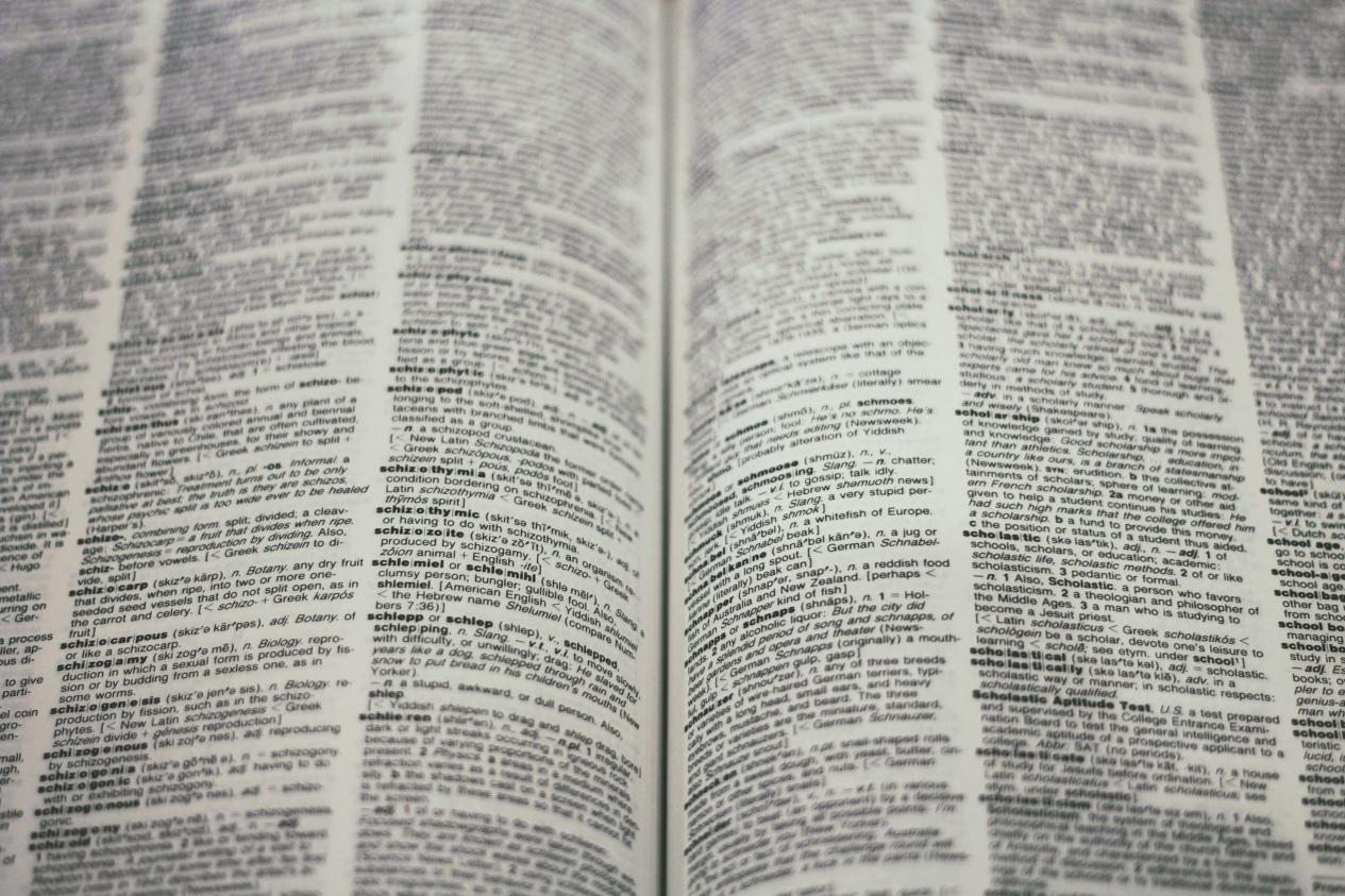 Close-up of printed legal text